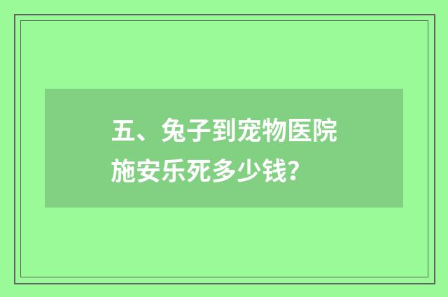 五、兔子到宠物医院施安乐死多少钱?