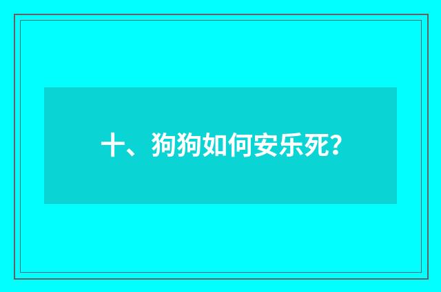 十、狗狗如何安乐死?