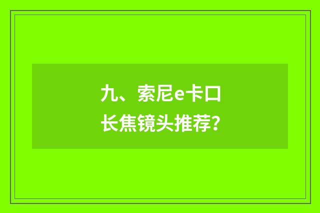 九、索尼e卡口长焦镜头推荐？