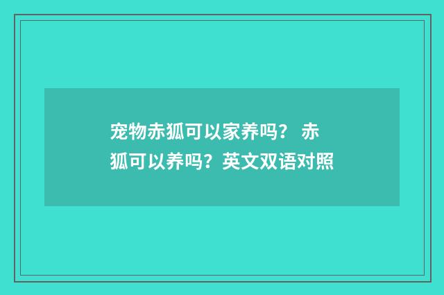 宠物赤狐可以家养吗? 赤狐可以养吗?英文双语对照