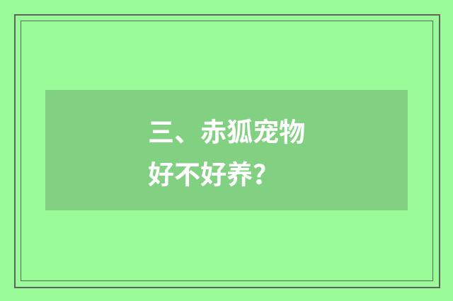 三、赤狐宠物好不好养？