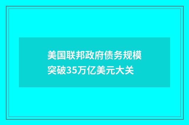 美国联邦政府债务规模突破35万亿美元大关