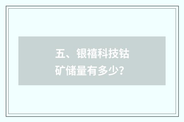 五、银禧科技钴矿储量有多少?