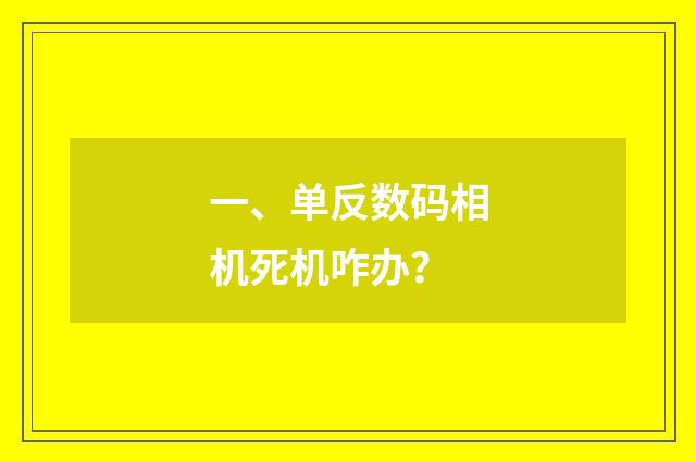 一、单反数码相机死机咋办?