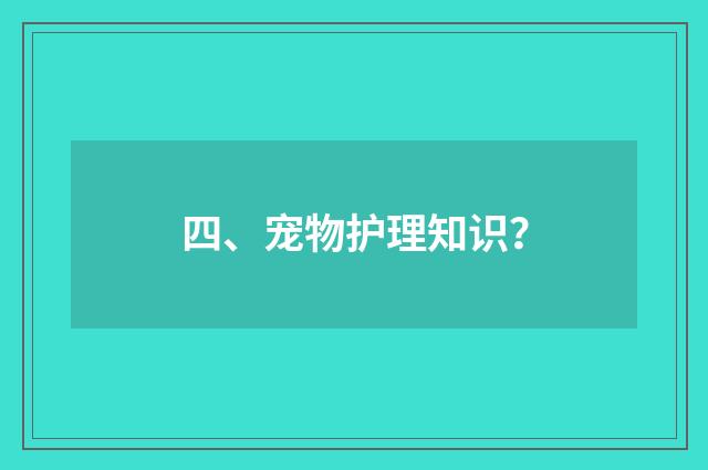 四、宠物护理知识?