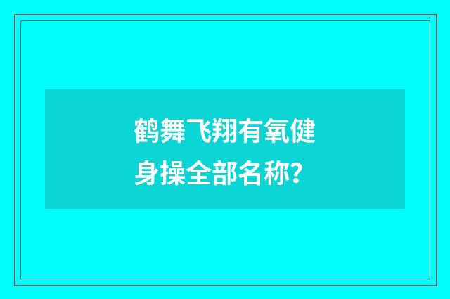 鹤舞飞翔有氧健身操全部名称?