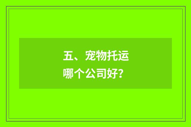 五、宠物托运哪个公司好?