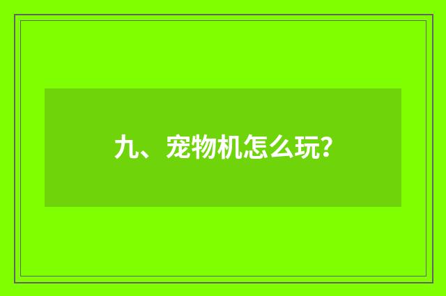 九、宠物机怎么玩?
