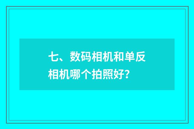 七、数码相机和单反相机哪个拍照好?