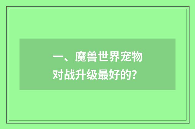 一、魔兽世界宠物对战升级最好的？
