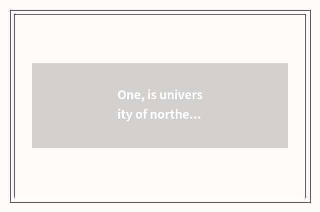 One, is university of northeast finance and economics professional?