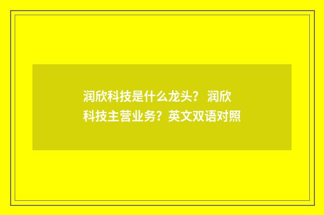 润欣科技是什么龙头? 润欣科技主营业务?英文双语对照