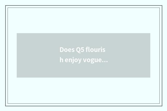 Does Q5 flourish enjoy vogue model move feeling distinction with vogue?