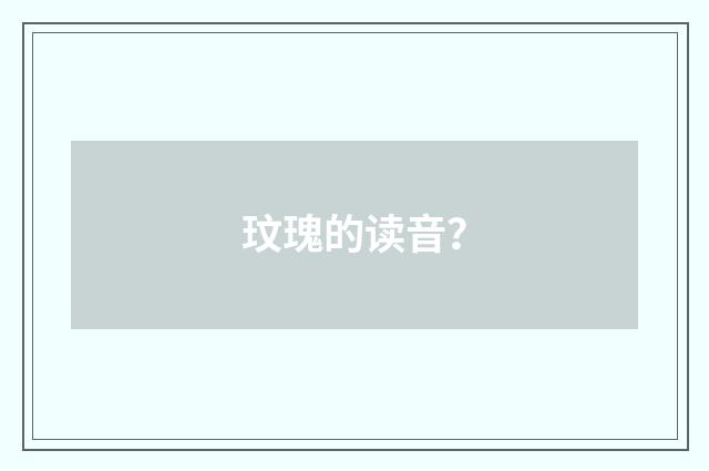 玟瑰的读音？