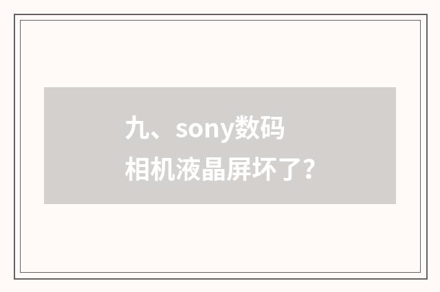 九、sony数码相机液晶屏坏了?