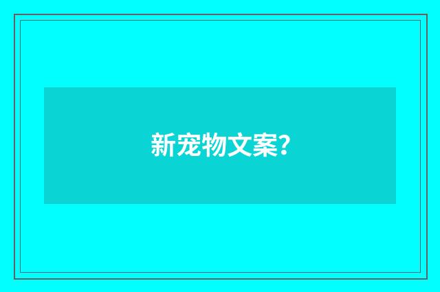 新宠物文案？