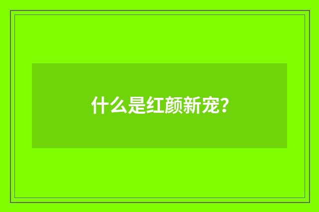 什么是红颜新宠?