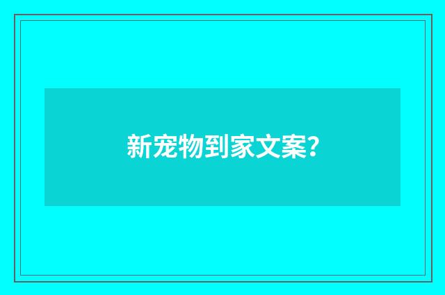 新宠物到家文案?