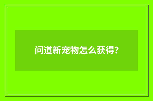 问道新宠物怎么获得？