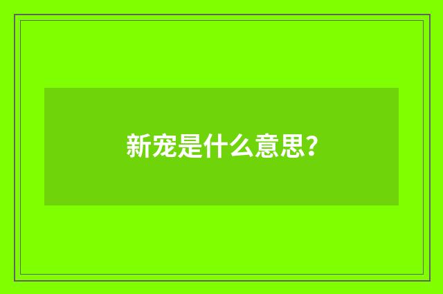 新宠是什么意思?