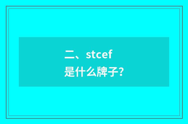 二、stcef是什么牌子？