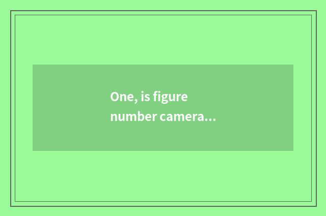 One, is figure number camera recommended?