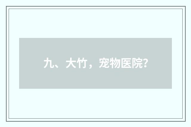 九、大竹,宠物医院?