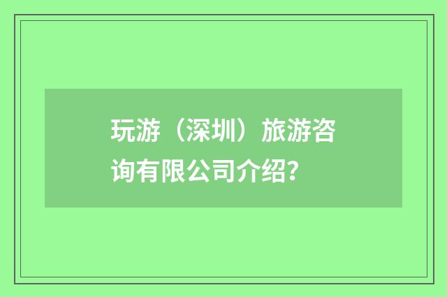 玩游(深圳)旅游咨询有限公司介绍?