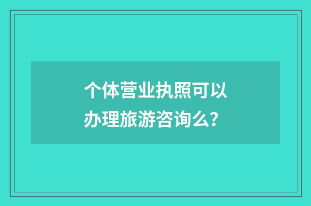 个体营业执照可以办理旅游咨询么？