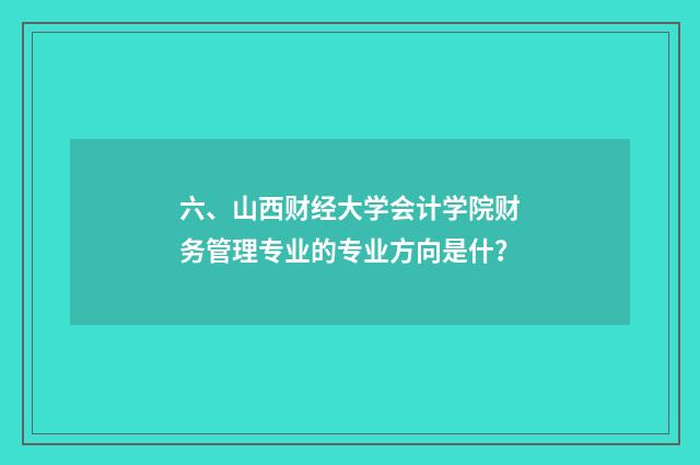 六、山西财经大学会计学院财务管理专业的专业方向是什?