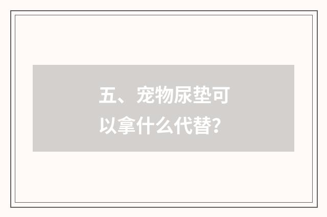 五、宠物尿垫可以拿什么代替?