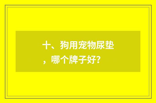 十、狗用宠物尿垫，哪个牌子好？