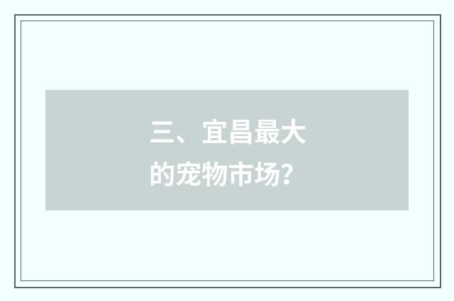 三、宜昌最大的宠物市场?