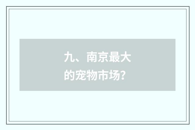 九、南京最大的宠物市场？