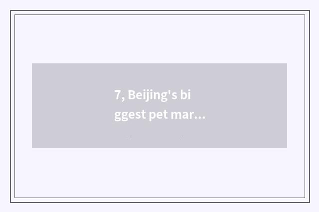 7, Beijing's biggest pet market?