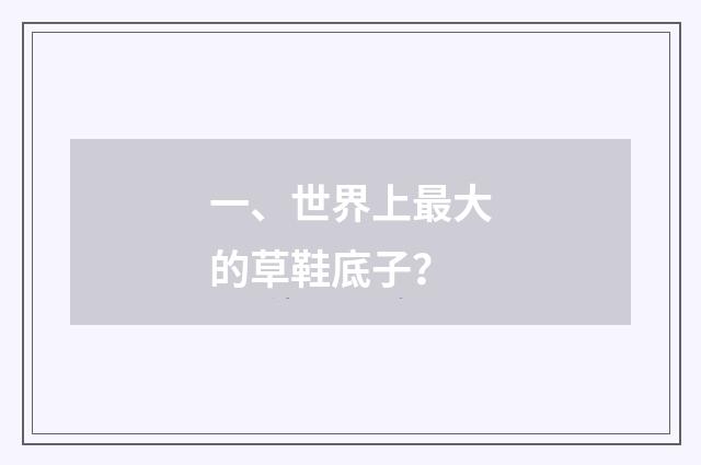 一、世界上最大的草鞋底子?
