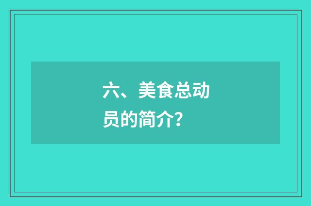 六、美食总动员的简介?