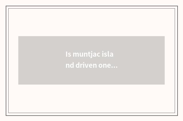 Is muntjac island driven oneself south swim strategy?