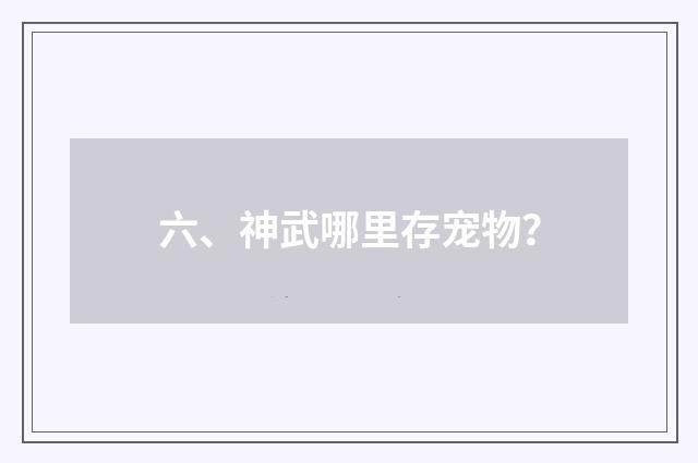 六、神武哪里存宠物?