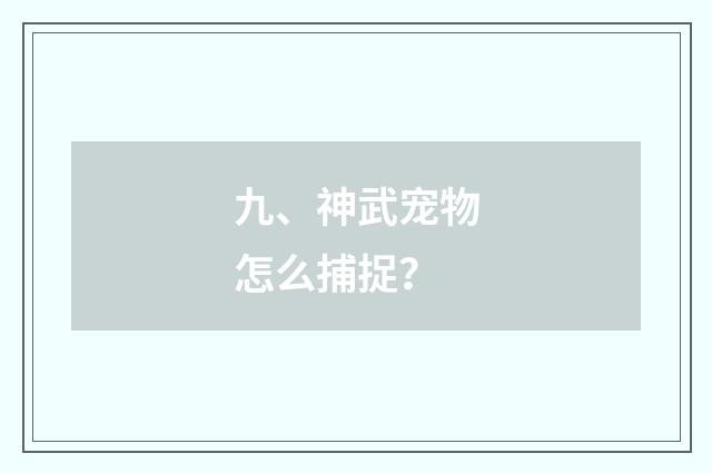 九、神武宠物怎么捕捉?
