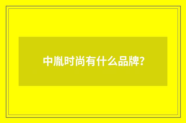 中胤时尚有什么品牌?