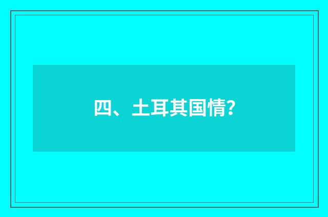 四、土耳其国情?