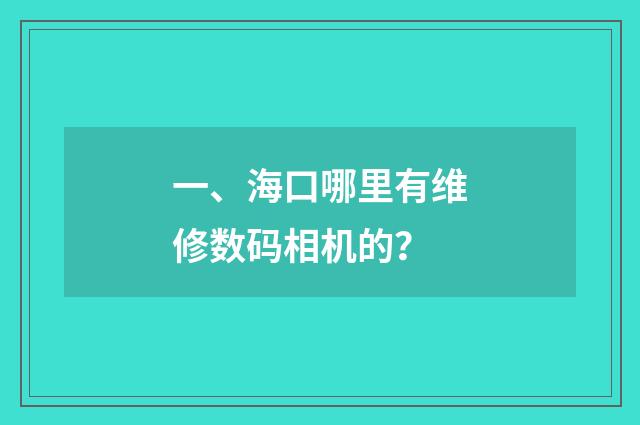 一、海口哪里有维修数码相机的?
