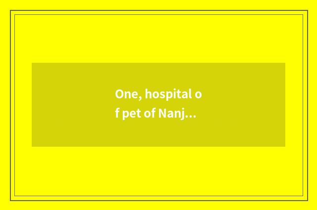 One, hospital of pet of Nanjing where home is good?