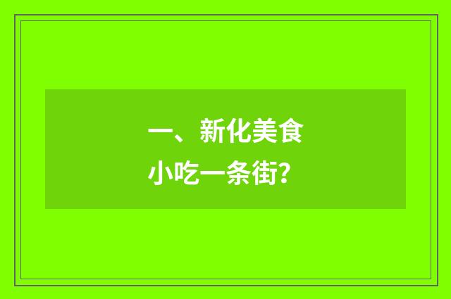 一、新化美食小吃一条街？