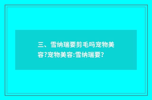 三、雪纳瑞要剪毛吗宠物美容?宠物美容:雪纳瑞要?