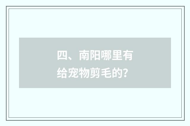 四、南阳哪里有给宠物剪毛的?