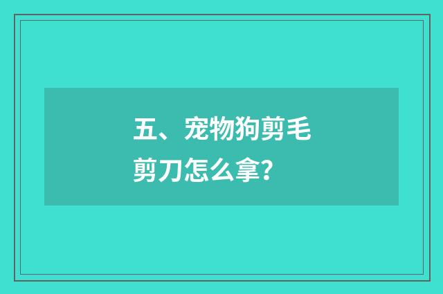 五、宠物狗剪毛剪刀怎么拿?