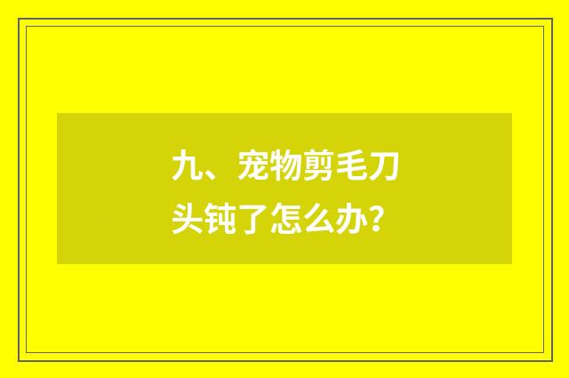 九、宠物剪毛刀头钝了怎么办?