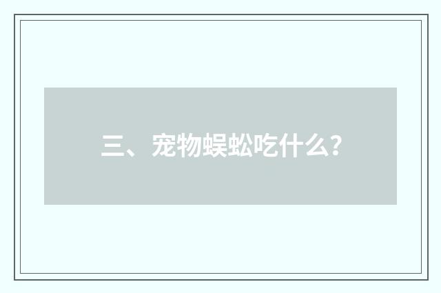 三、宠物蜈蚣吃什么？